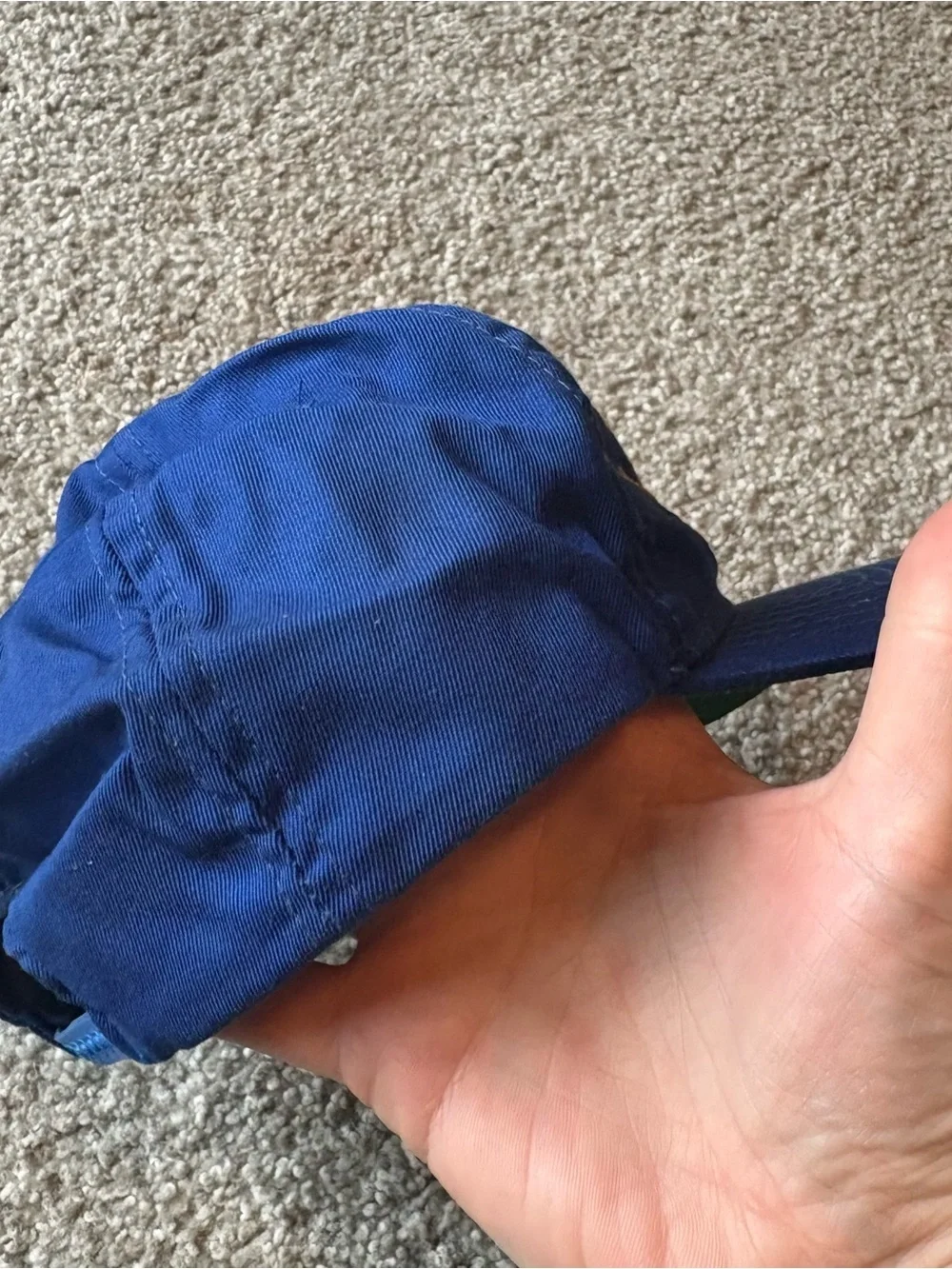 Vintage Detroit Lions SnapBack Hat NFL 90s Blue Football
